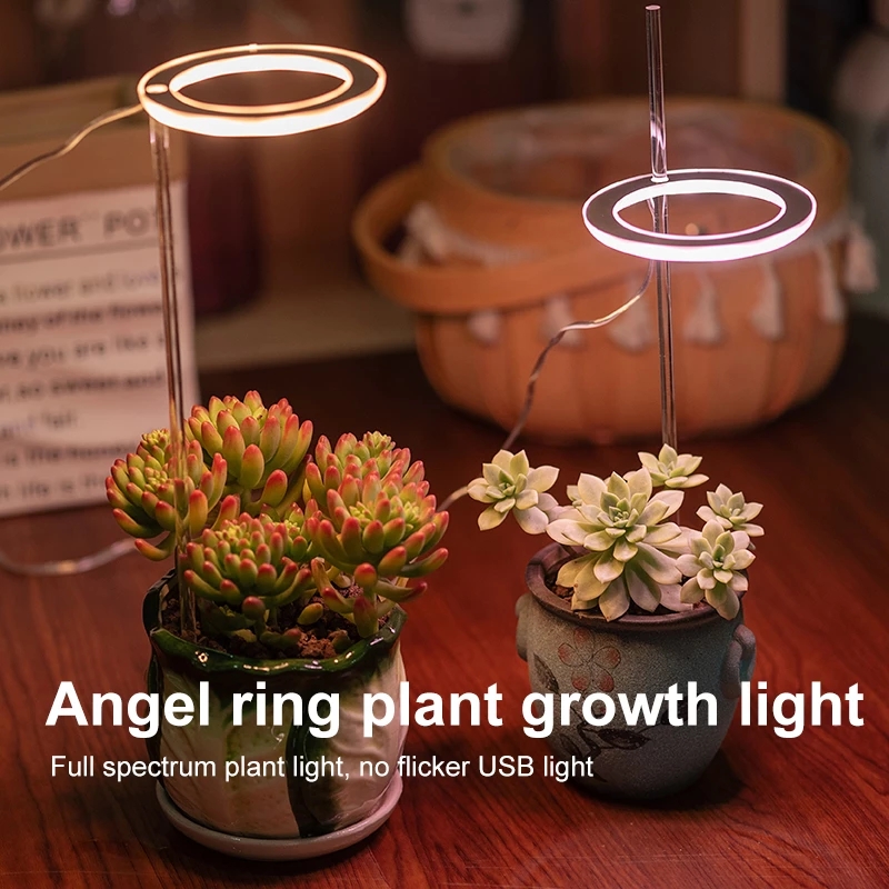 Angel Ring Grow Light 2