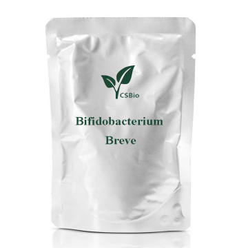 Bifidobacterium Breveのプロバイオティクスパウダー