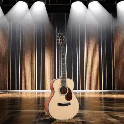 Hailun HL 1 Musical Instruments & Accessories: Elegant Guitar