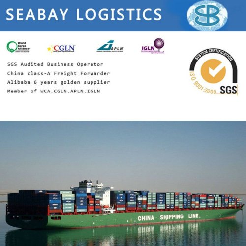 Shipping Container/ Freight Cost/Shipping Company/Shipping Agent From China