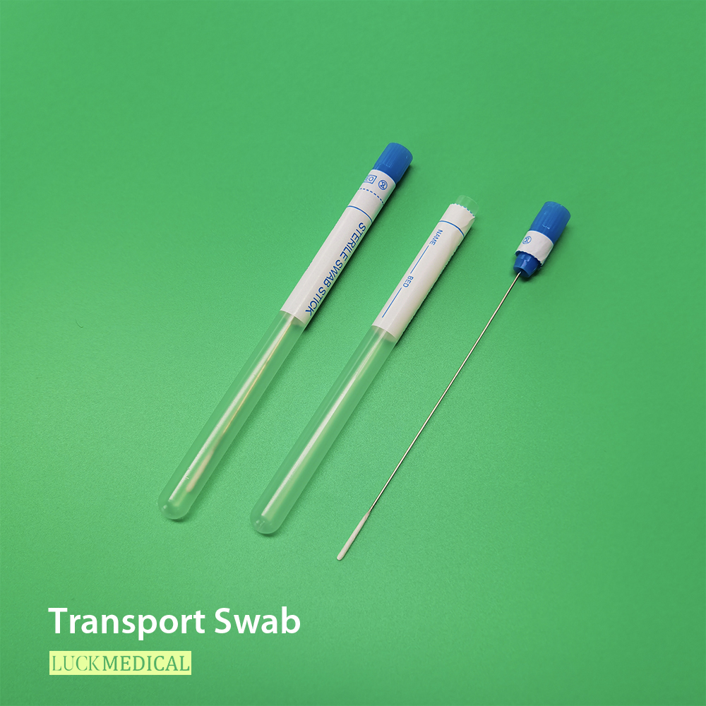 Swab da cultura bacteriana oral no tubo