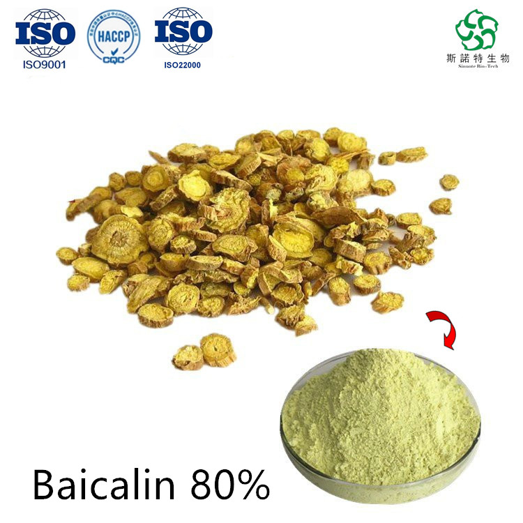 استخراج skullcap الشائك baicalin 80 ٪ في المخزون الكبير