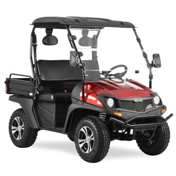Eco Friendly Electric UTV with Long Range Battery