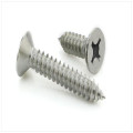 Stainless Steel Self Tapping Screw