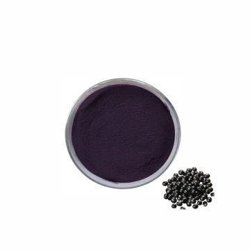 Natural Black Bean Extract Anthocyanin 25%