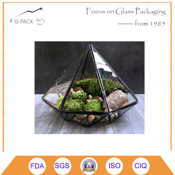 Local Tyrants Black Geometric Glass Solder Terrarium Housing for Plants Moss