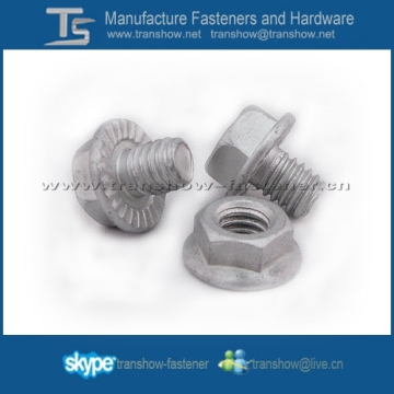 Hex Serrated Flange Bolt and Flange Nut