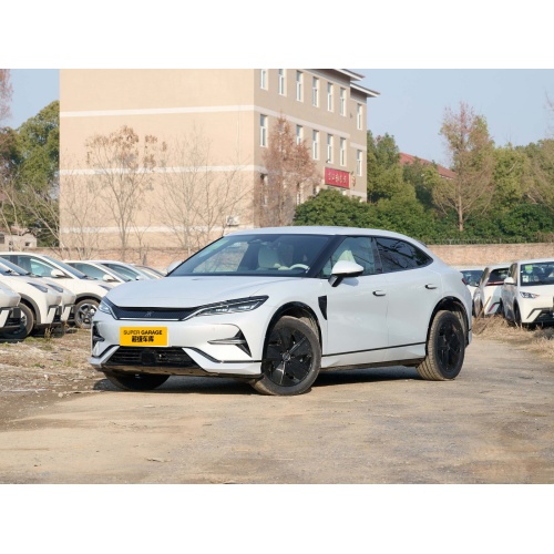 Byd Song L EV Champion 2024 Pure Electric 4WD de vânzare