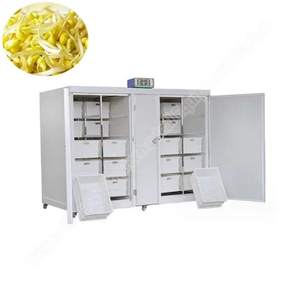 Commercial Bean Sprout Machine: Bean Sprouts Drying and Mung Bean Sprout Maker