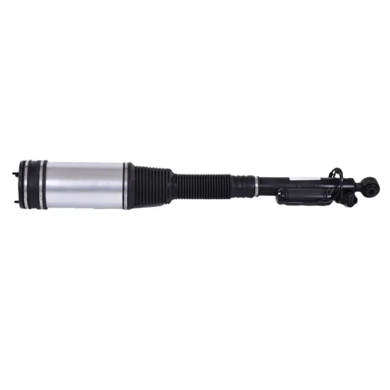 High Quality Rear Shock Absorber R for Mercedes Benz W221 2213205613