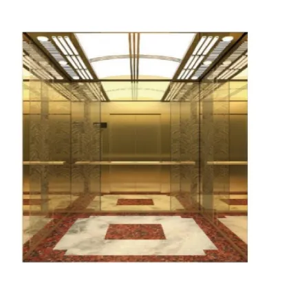 Hot Selling Hairline Stainless Steel Indoor Household Elevator for Villa