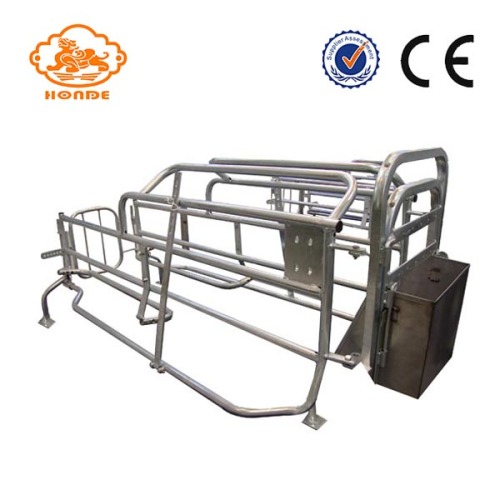 Automatic Welding Galvanized Tube Farrowing Cages For Sow