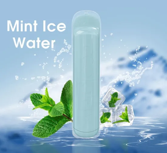 USA Fruit Flavor Coolplay X25 500 Puff Vape