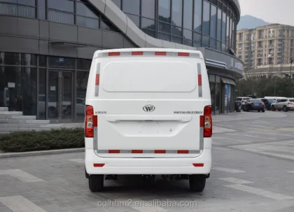 Hongyuan EM60 EV: Electric Mini Vans and Cargo Vans