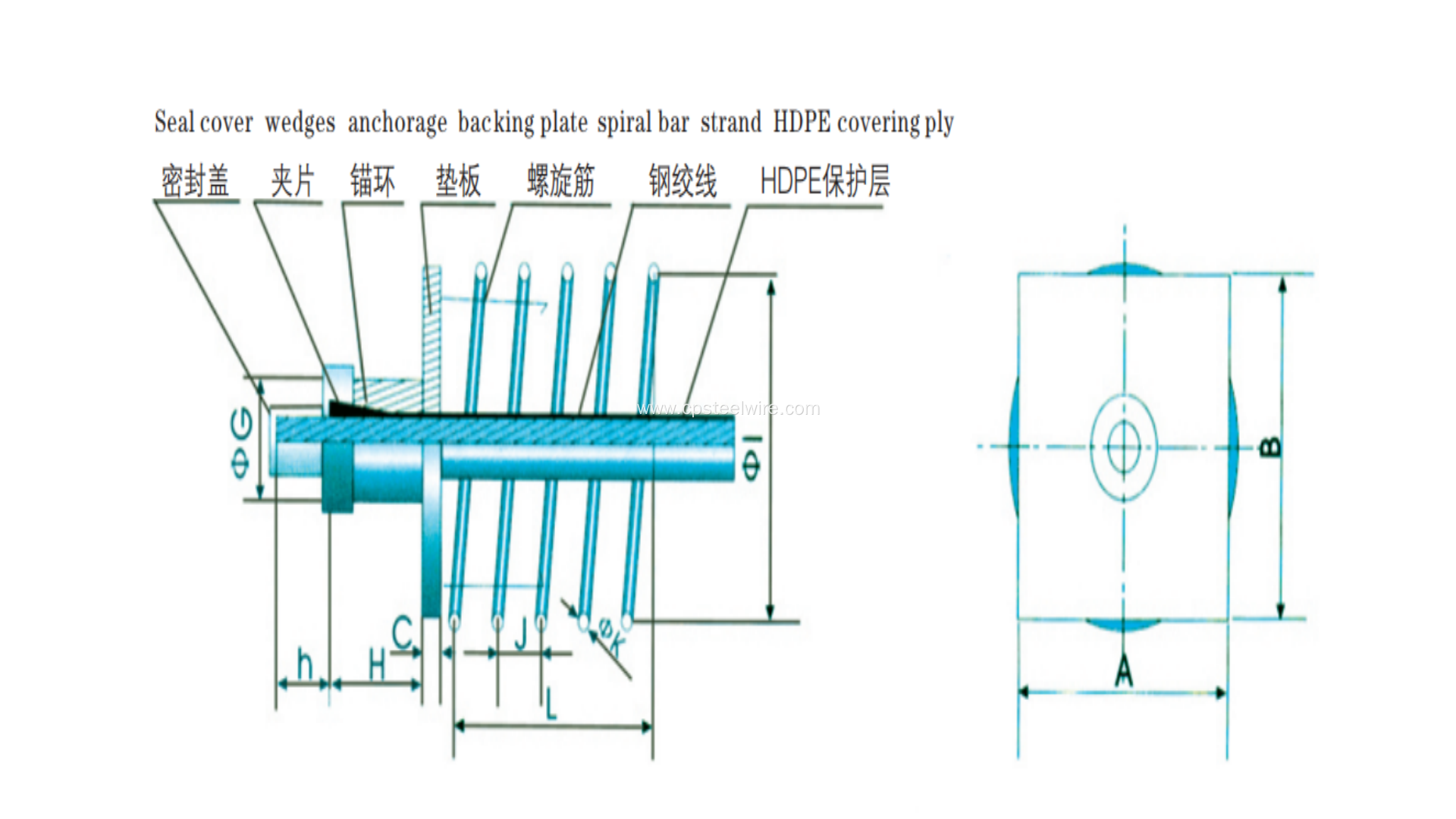 YMU"TYPE ANCHORAGE FOR UNBONDED STRAND WIRES