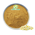 /msite/products/detail/productid/65166596/id/1510799.html