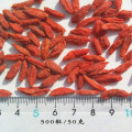 Bacche di Goji organiche certificate FDA 2020