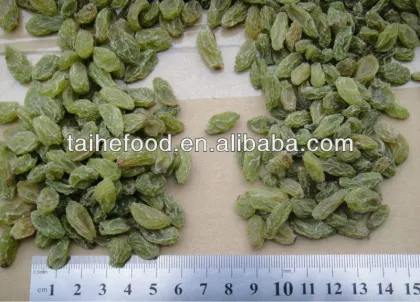 raisin ,chinese best green raisin with AAA grade