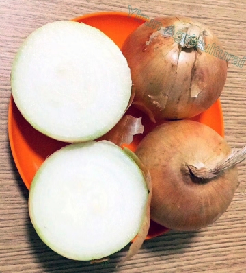 Chinese Good Taste Fresh Red Onion