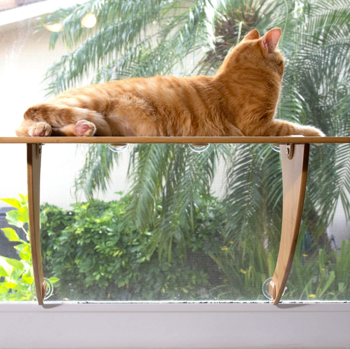 Bamboo Cat Window Perch