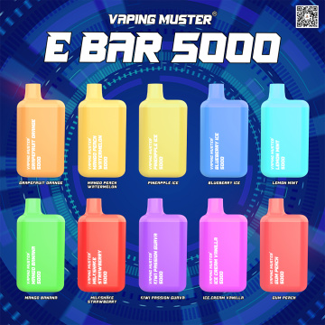 E bar e-cigarette 5000 puff