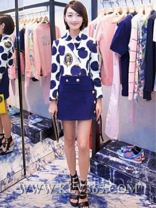 European Design Ladies Office Skirt Suit and Blouse