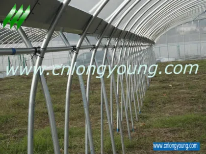 Tunnel-Connected Greenhouse