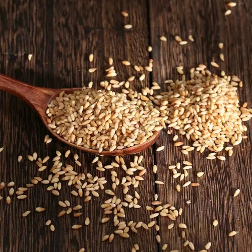 Biota Seed for Calming Herbal Use