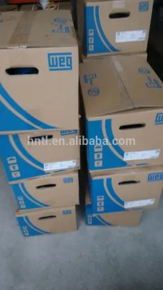 Customized WEG Brand Electric Motor