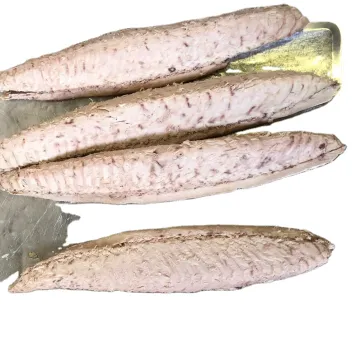Frozen Precooked Big Eye Tuna Lion