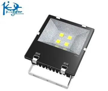 LED  flood lamp 160W