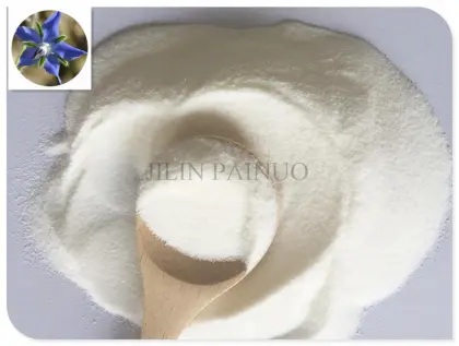 Micro-encapsulated Borage Seed Oil Powder Fat Powder