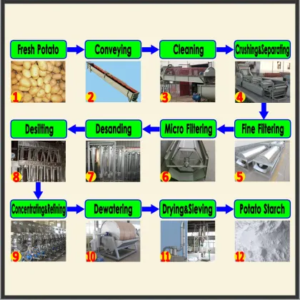 High yield native potato starch processing industry