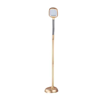 Living Room Lamp,Energy Saving Indoor Floor Lamp