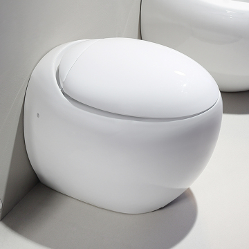 Modern Floor Standing White Ceramic Toilet Bowl WC Set