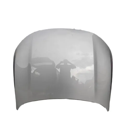 OE X0190000256 High Quality Auto Parts Car Hood Engine Cover for Lixiang L9