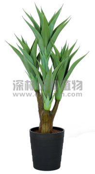 Best Sell artificial plant Mini Agave Americana