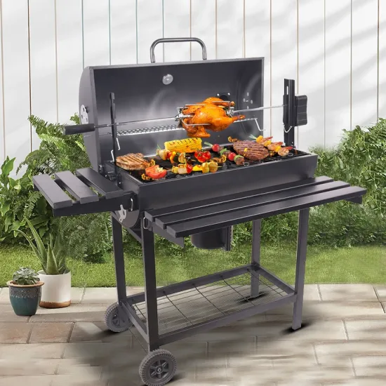 Outdoor Motor Rotisserie Charcoal Electric BBQ Spit Roaster