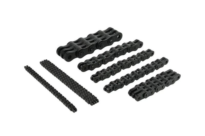 Premium Short Pitch Stainless Steel Roller Chain Conveyor Chain