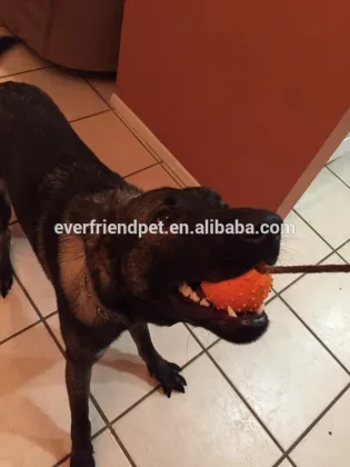 accesorios para mascotas por mayor de China