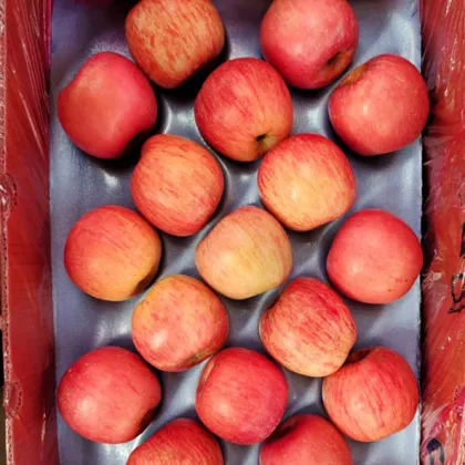 Qia Xia Paper Bagged Fuji Apples