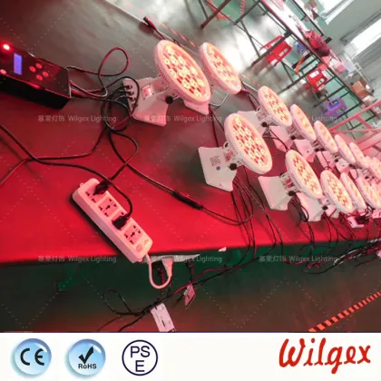 Chauvet Led Wash Light