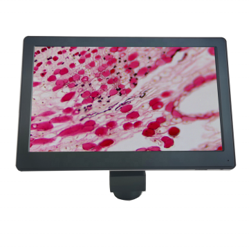 9 Inch Microscope LCD Screen with C Mount and Pad Camera: Your Ultimate Visualization Tool