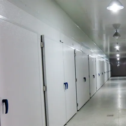 Industry use egg incubator