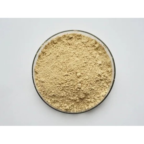 Gynostemma Pentaphyllum Leaf Extract Gynostemma Gypenosides