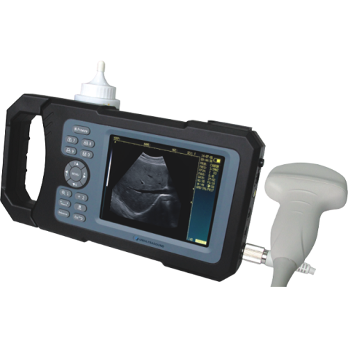 Animal Farm Palm Veterinary Ultrasound Diagnostic System