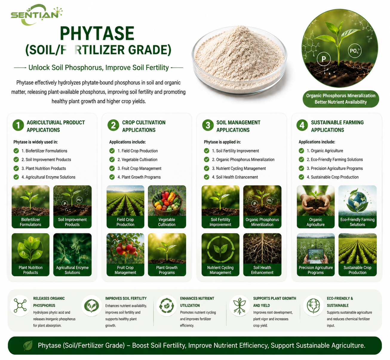 Phytase 2