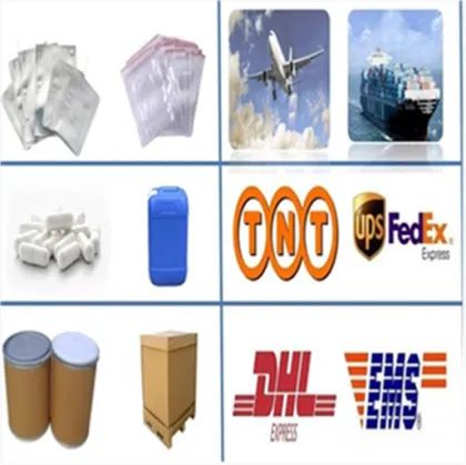 Top quality Sunflower extract sunflower seed extract flower