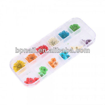 Nail Art Dried Flowers, Real Dried Flowers For Nail Art, Nail Art Decoration, Flowers for Nail Art