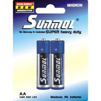 1.5V UM3 AA Size R6_B2PB Battery